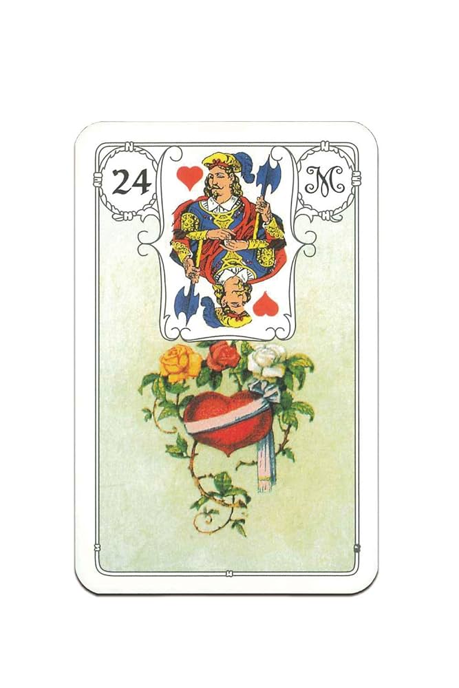Ran☆★ブルールノルマンカード ルノルマンカード紹介 第7回 「Blue Owl Lenormand」｜星降夜子